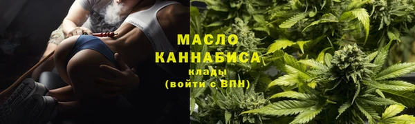 МДПВ Алзамай