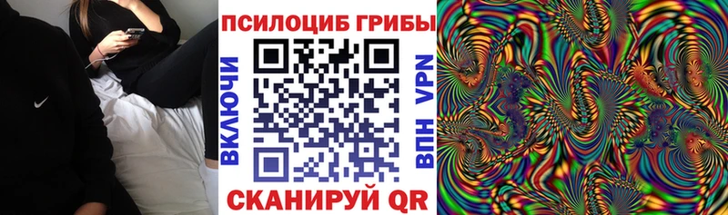 Псилоцибиновые грибы Psilocybine cubensis  Николаевск 
